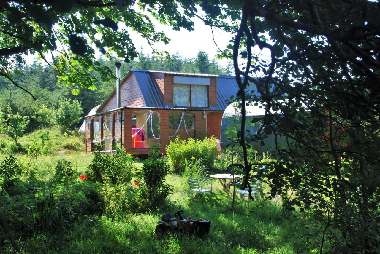 Meadowsweet Forest Lodge Fintown المظهر الخارجي الصورة